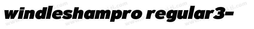 windleshampro regular3字体转换